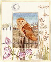 Набор для вышивания Barn Owl