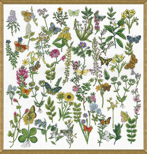 Набор для вышивания Красота Ботаники  DESIGN WORKS 3424 смотреть фото