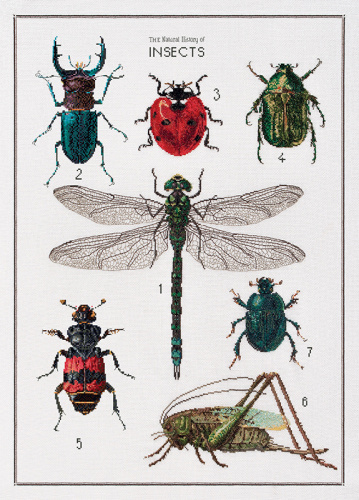 Набор для вышивания История насекомых канва лён 32 ct THEA GOUVERNEUR 566 смотреть фото
