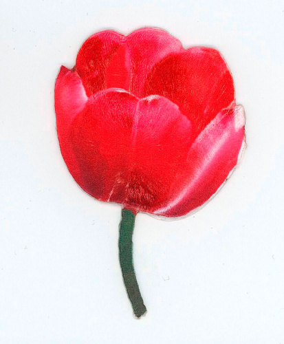 Фото термоаппликация с 3d эффектом красный тюльпан на сайте ArtPins.ru