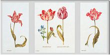 Набор для вышивания Тюльпаны Джейкоба Маррель и Джудит Лейстер  16-й век  канва Aida 18 ct