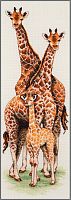Набор для вышивания Anchor Giraffe Family 47*14 см MEZ PCE740