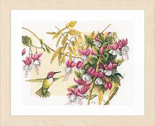 Набор для вышивания Colibri & flowers