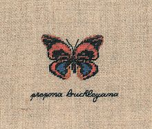 Набор для вышивания:PAPILLON PREPONA BUCKLEYANA Бабочка PREPONA BUCKLEYANA 3629