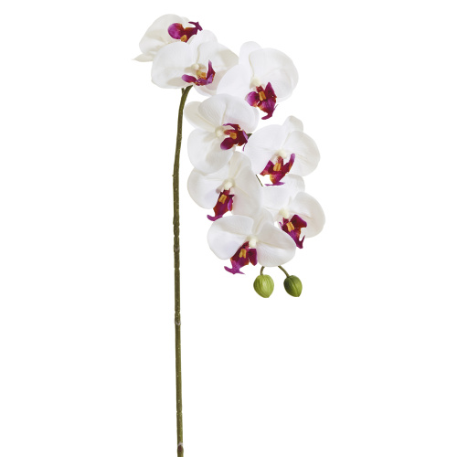 Цветок декоративный Орхидея  Fiebiger Floristik GmbH 206644-107 фото