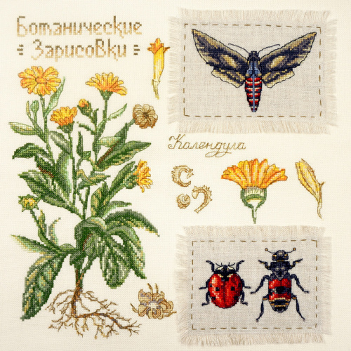 Набор для вышивания Ботаника: Календула Марья Искусница 03.015.13 смотреть фото