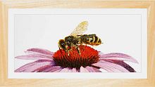 Набор для вышивания Пчела на эхинацее  канва лен 36 ct