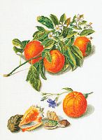 Набор для вышивания Апельсины и мандарины  канва лён 36 ct