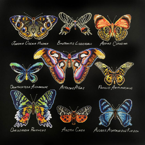 Набор для вышивания Бабочки Марья Искусница 14.001.08 смотреть фото