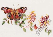 Набор для вышивания Бабочка-Жимолость  канва аида 18 ct