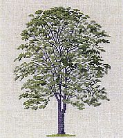 Набор для вышивания Дерево  Haandarbejdets Fremme 30-6025