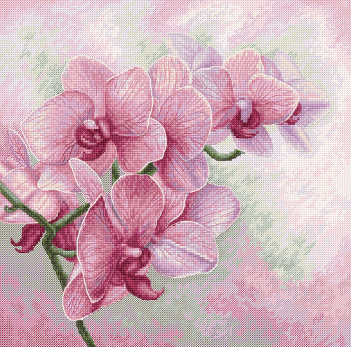 Набор для вышивания Изящные орхидеи  Luca-S B7009 смотреть фото