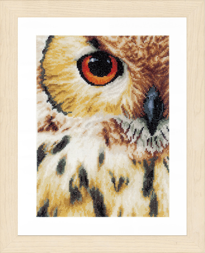 Набор для вышивания Owl - PN-0157518 смотреть фото