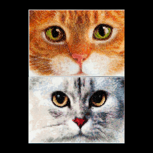 Набор для вышивания Два котёнка  канва Aida 16 ct THEA GOUVERNEUR 540A смотреть фото
