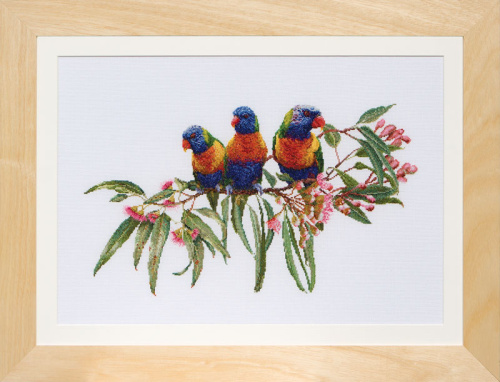 Набор для вышивания Стайка попугаев  канва Aida 16 ct смотреть фото