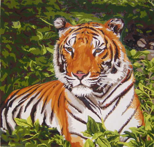 Канва жесткая с рисунком Тигр - 46.380 смотреть фото