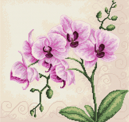 Набор для вышивания Орхидея Luca-S B2227 смотреть фото