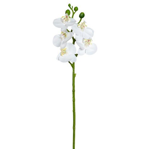 Цветок декоративный Орхидея  Fiebiger Floristik GmbH 206680-104 фото