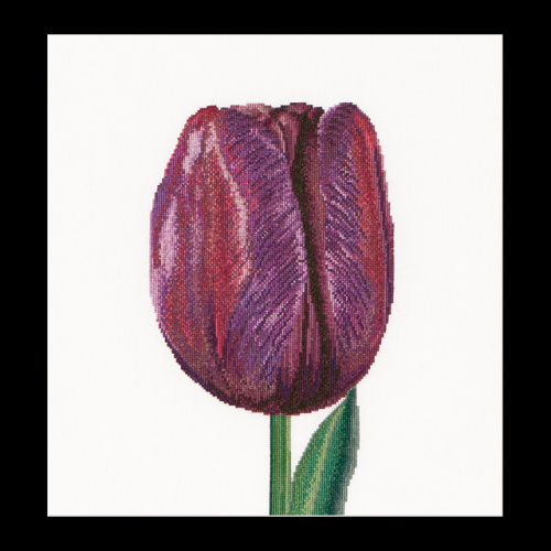 Набор для вышивания Фиолетовый Тюльпан Триумф  канва лён 32 ct смотреть фото