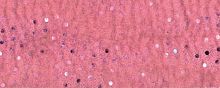 Войлок с вваляной тканью с пайетками  100% шерсть лоскут 40х60 см старо-розовый VH0116