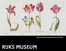 Набор для вышивания Тюльпаны Джейкоба Маррель и Джудит Лейстер 16-й век канва лён 36 ct