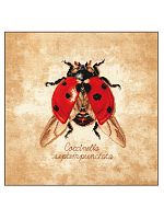 Набор для вышивания "Coccinella septempunctata"
