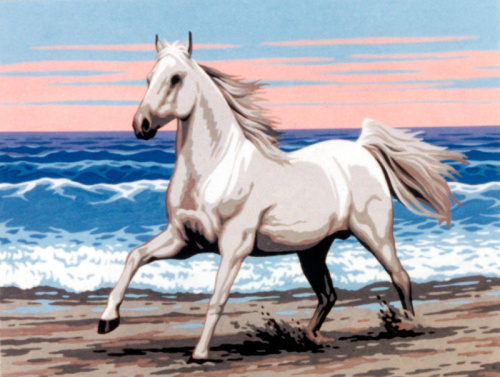 Канва жесткая с рисунком Белая лошадь на морском берегу смотреть фото