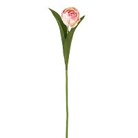 Цветок декоративный Тюльпан  Fiebiger Floristik GmbH 203613-400