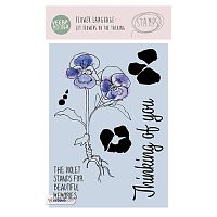 Набор прозрачных штампов Stamp Clear VEER & MOON Язык цветов: Виола