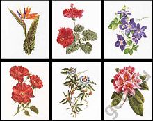 Набор для вышивания Шесть цветочных исследований канва лён 36 ct THEA GOUVERNEUR 3081