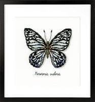 Набор для вышивания Голубая бабочка VERVACO PN-0165403