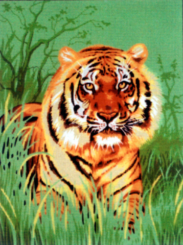 Канва жесткая с рисунком Тигр в траве смотреть фото