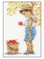 Набор для вышивания "Boy with apples"  