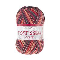 Пряжа Fortissima Socka 4-fach color 75% шерсть 25% полиамид 420 м 100 г Austermann 90028-2486