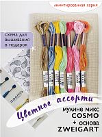 Мулине микс меланж Cosmo  " Цветное ассорти"
