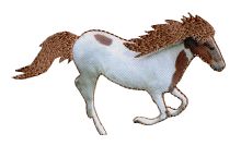Термоаппликация HKM Pony galloppierend Schecke