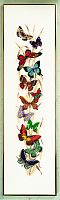 Набор для вышивания Бабочки Eva Rosenstand 14-255