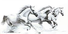 Набор для вышивания Белые лошади - B495