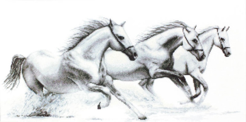 Набор для вышивания Белые лошади - B495 смотреть фото