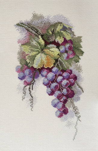 Набор для вышивания Синий виноград по рисунку С. Амес Марья Искусница 04.009.11 смотреть фото