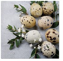 Салфетки трехслойные для декупажа Натуральные яйца PAW Decor Collection SDL120603