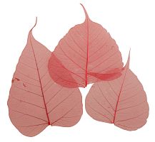 Листья сухие для декора - 8500618