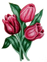 Канва жесткая с рисунком Тюльпаны