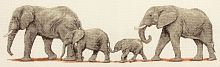 Набор для вышивания Anchor Elephant Stroll 14*47 см MEZ PCE732