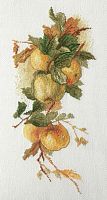 Набор для вышивания Аромат яблок по рисунку К. Кляйн Марья Искусница 06.002.43