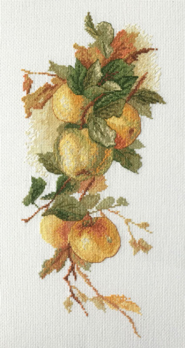 Набор для вышивания Аромат яблок по рисунку К. Кляйн Марья Искусница 06.002.43 смотреть фото