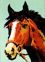 Канва жесткая с 2 рисунками Голова рыжего коня
