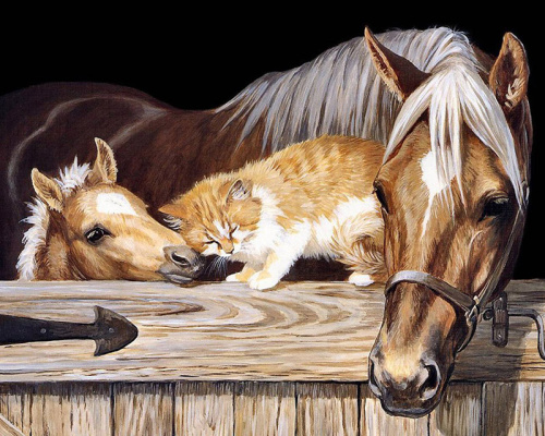 Картина стразами Лошадь жеребенок и рыжий кот  Алмазное хобби Ah07211 фото