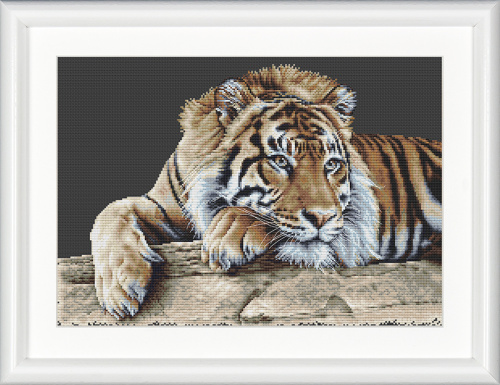 Набор для вышивания Тигр канва аида черная 14 ct THEA GOUVERNEUR 579.05 смотреть фото
