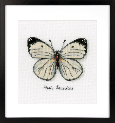 Набор для вышивания Белая бабочка VERVACO PN-0165233 смотреть фото